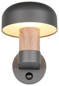 Nástenné vonkajšie svietidlo (výška 24,5 cm) Fraser – Trio