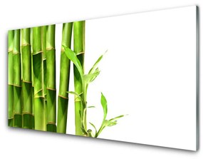 Obraz na skle Bambus rastlina 140x70 cm