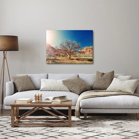 Obraz stromu v púšti (70x50 cm)