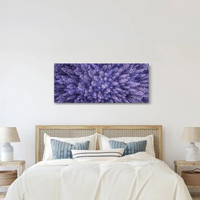 Obraz zasnežených stromov (120x50 cm)