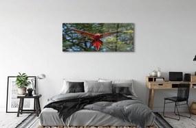 Obraz na akrylátovom skle Ara papagáj 120x60 cm