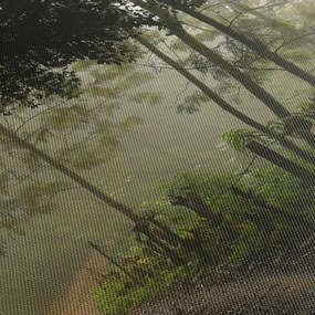 Obraz rannej hmly (120x50 cm)
