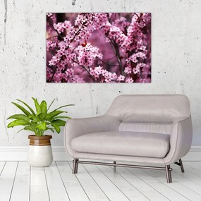 Obraz - Ružová sakura (90x60 cm)