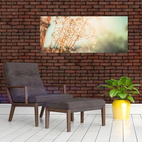 Obraz - Rastliny po daždi (120x50 cm)