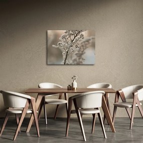 Obraz - Rastlina v mraze (70x50 cm)
