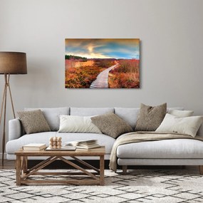 Obraz - Jesenná cesta krajinou (90x60 cm)