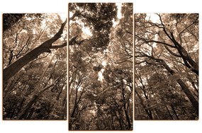 Obraz na plátne - Zelené stromy v lese 1194FC (135x90 cm)