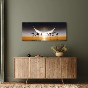 Obraz - Mesiac nad palmami (120x50 cm)