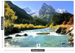 Fototapeta Vliesová Švajčiarske alpy 104x70 cm