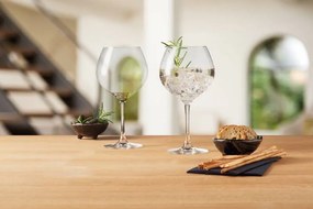 Leonardo Poháre GIN 630 ml, 2 ks