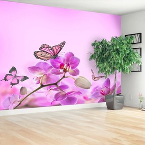 Fototapeta Vliesová Orchid motýľ 312x219 cm