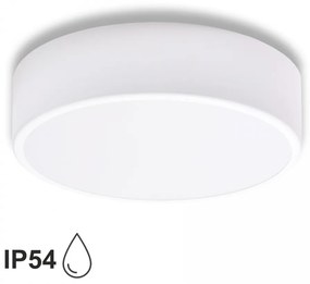 TEMAR Prisadené stropné kúpeľňové osvetlenie CLEO, 2xE27, 40W, 30cm, okrúhle, biele, IP54