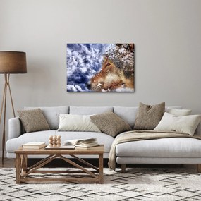 Obraz vlka (70x50 cm)