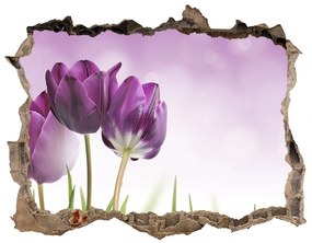 Samolepící díra nálepka Filé tulipány nd-k-52340543