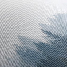 Obraz - Zahmlený les (90x60 cm)