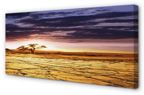 Obraz canvas Mraky strom neba 125x50 cm