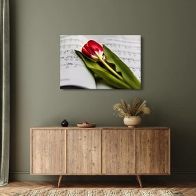 Obraz červeného tulipánu (90x60 cm)