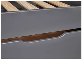 Inter Link Detská výsuvná posteľ Dream the Future, 90 x 200 cm (sivá)  (100394227)