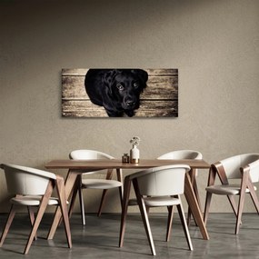 Obraz čierneho šteňaťa (120x50 cm)