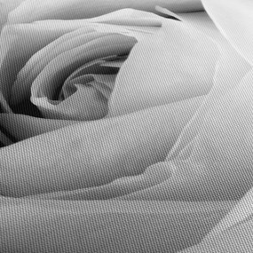 Obraz - Detail kvetu ruže (s hodinami) (90x30 cm)