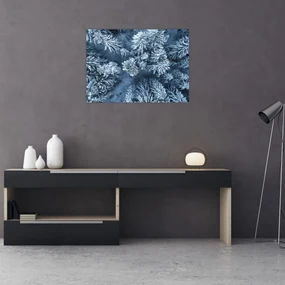 Obraz - Zasnežený les (70x50 cm)