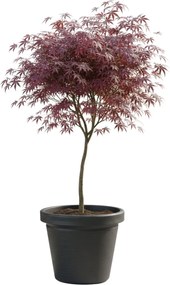 PLASTOVÝ KVETINÁČ SRTIA RIFLO 55X48 CM ANTRACITOVÁ