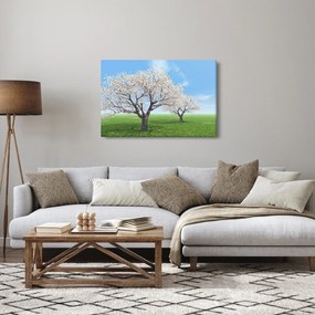 Obraz stromov (90x60 cm)