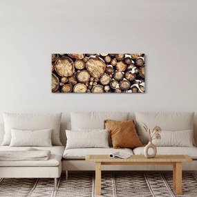Obraz - Drevo v snehu (120x50 cm)