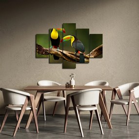 Obraz sediacich tukanov, Costa Rica (150x105 cm)