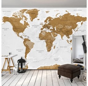 Samolepiaca fototapeta World Map White Oceans