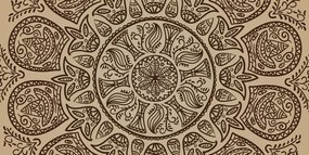 Obraz Mandala s abstraktným prírodným vzorom Varianta: 120x60
