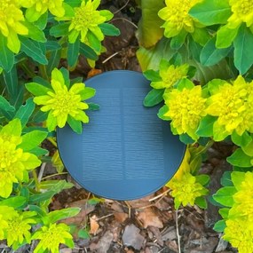 Zuma Line DT33611 - LED Solárna lampa CARLI LED/2W/2000 mAh IP44 čierna