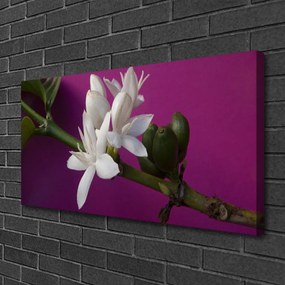 Obraz Canvas Kvety úhonky príroda 100x50 cm