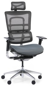 Multifunkčná kancelárska stolička WINSTON SAB, sivá