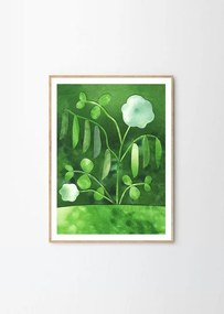 Plagát 50x70 cm Peas in Bloom – Anna Ravn Bjørn – The Poster Club