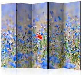 Artgeist Paraván - A sky-colored meadow - cornflowers [Room Dividers]