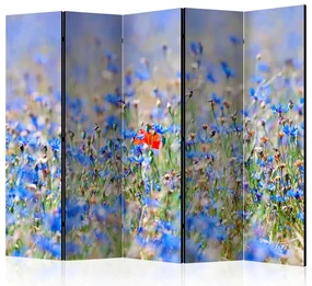 Artgeist Paraván - A sky-colored meadow - cornflowers [Room Dividers]