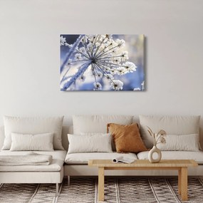 Obraz - Zamrznutý kvet (90x60 cm)