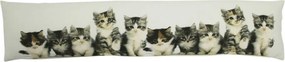 Biely bavlnený dlhý vankúš s mačiatkami Kittens - 90*20*10cm