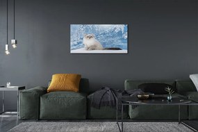 Obraz na plátne mačka zima 100x50 cm