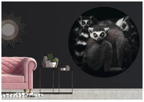 Fototapeta vliesová Lemur 95 cm