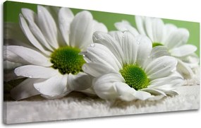 Obraz na stenu Panoráma KVETY XOBKV111E13 - 30x60 cm