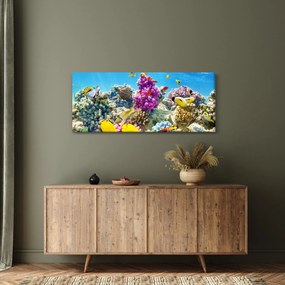 Obraz - Morský svet (120x50 cm)