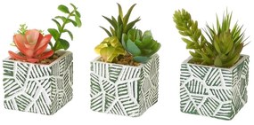 Umelé rastliny v súprave 3 ks (výška 12 cm) Cactus – Casa Selección