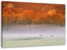 Obraz na plátně Mlžný les - 90x60 cm