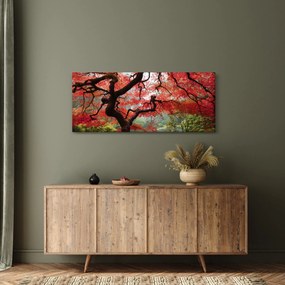 Obraz červeného japonského javora, Portland, Oregon (120x50 cm)