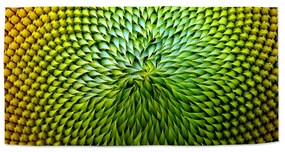 Sablio Uterák Detailný kvet - 30x50 cm