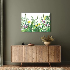 Obraz - Maľované lúčne kvety (90x60 cm)