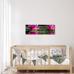 Obraz lekien na vode (s hodinami) (90x30 cm)