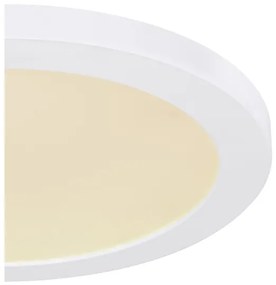 Globo 12379-24W - LED Stropné svietidlo LASSE LED/24W/230V